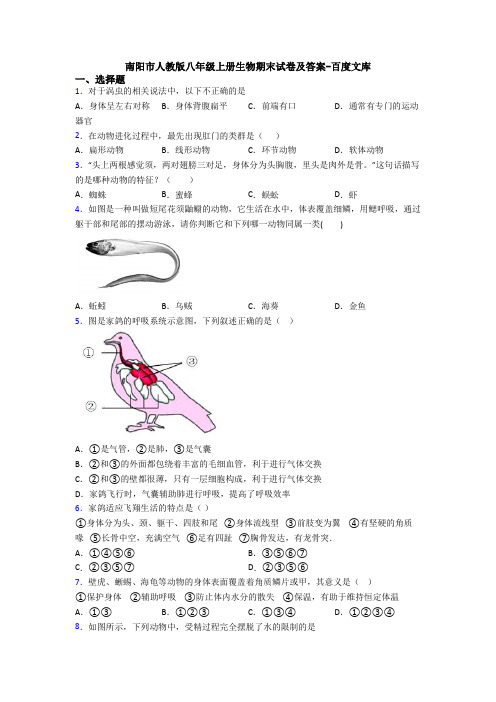南阳市人教版八年级上册生物期末试卷及答案-百度文库