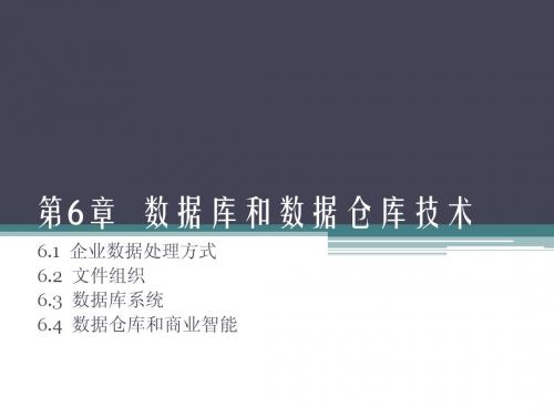 (管理信息系统)MIS-6e 第06章  数据库和数据仓库技术 ok