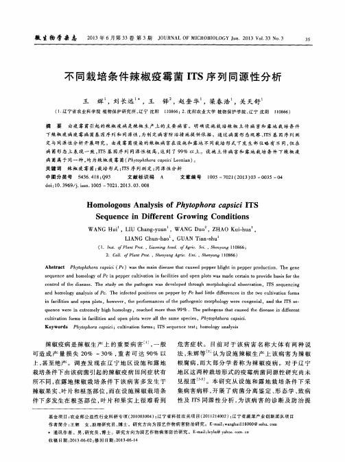 不同栽培条件辣椒疫霉菌ITS序列同源性分析