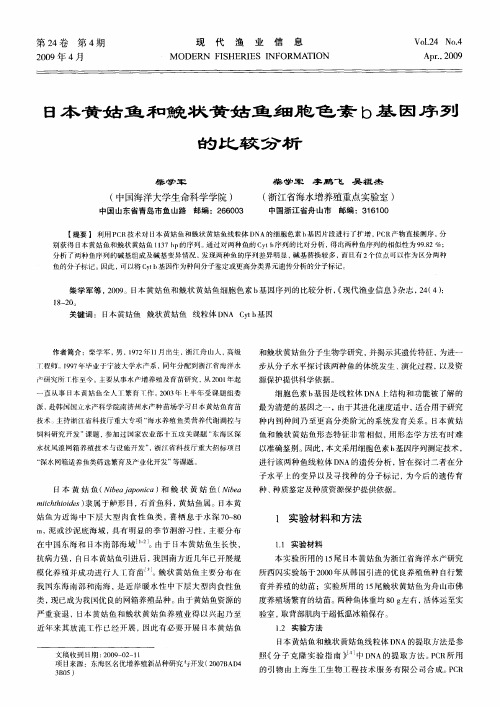 日本黄姑鱼和鳘状黄姑鱼细胞色素b基因序列的比较分析