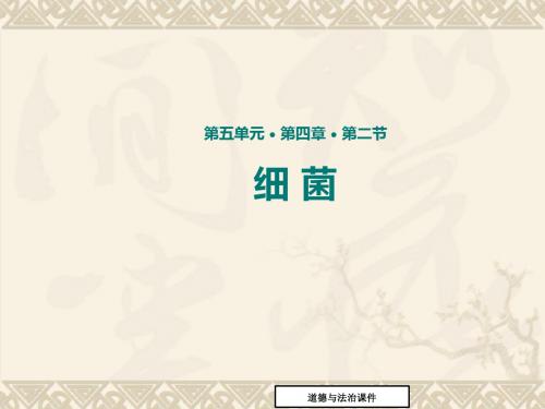(人教版)八年级生物上册5.4.2《细菌》ppt教学课件