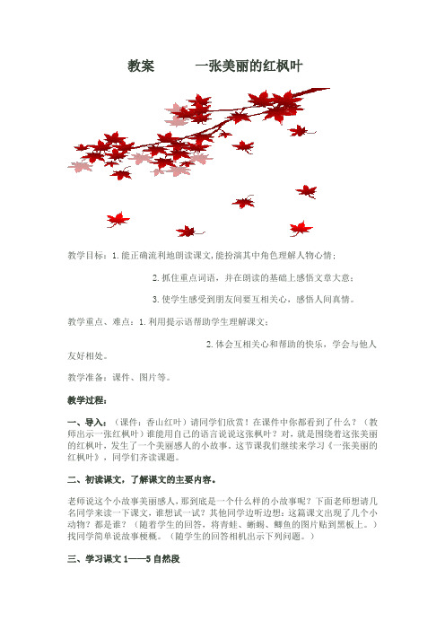 教案  一张美丽的红枫叶