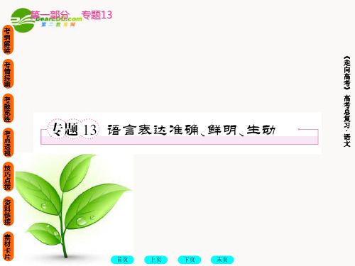 走向高考高中语文一轮复习大全 专题13课件