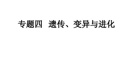 专题四遗传、变异与进化讲述