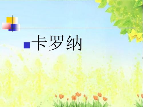 23.《卡罗纳》优秀ppt课件1