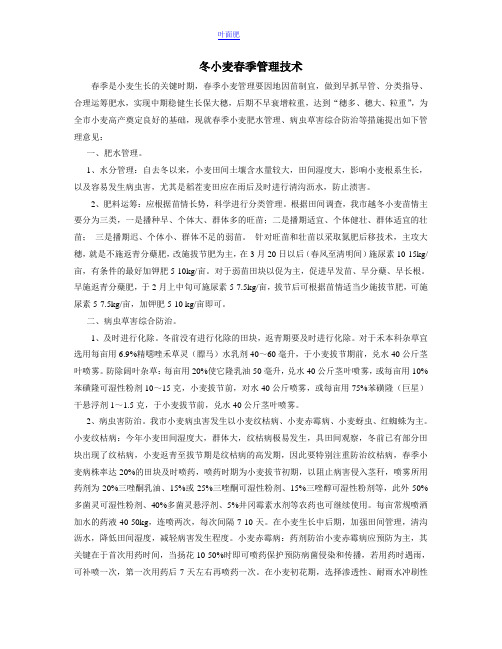 冬小麦春季施肥病害管理技术