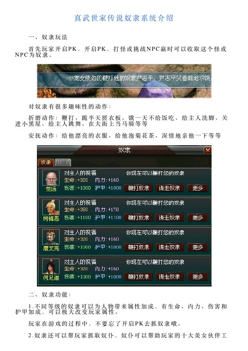 真武世家传说奴隶系统介绍