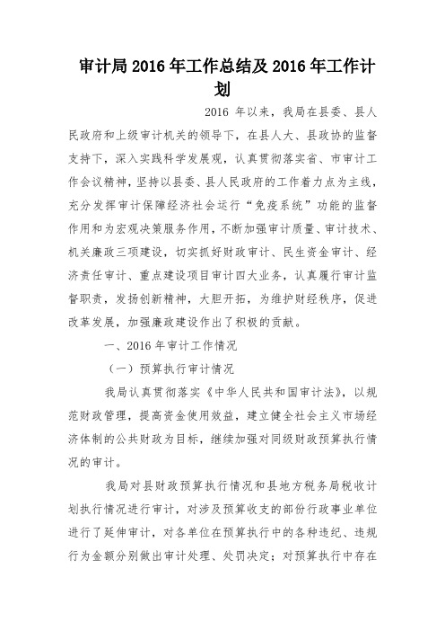 审计局2016年工作总结及2016年工作计划_3