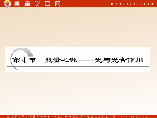 生物一轮复习必修1第5章第4节能量之源光与光合作用