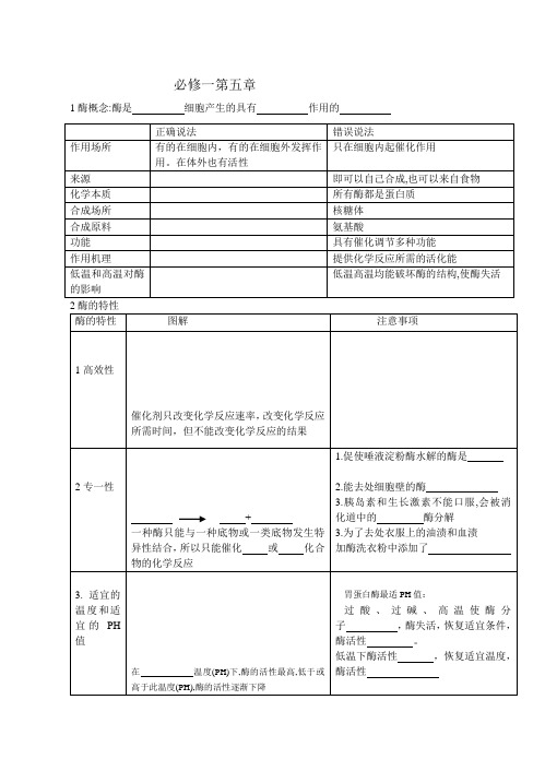 高一生物必修一第五章酶和ATP