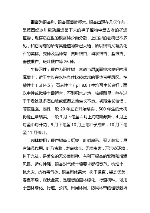 银杏相关资料