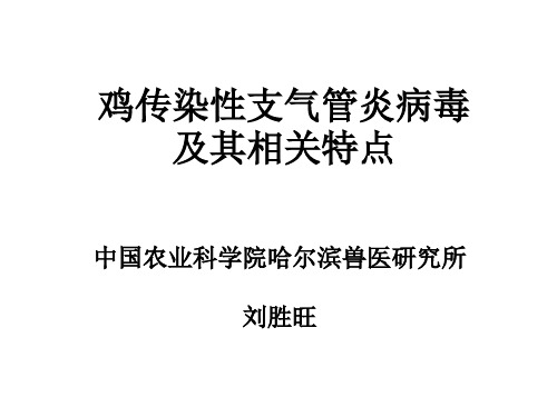 家禽传染性支气管炎的防治