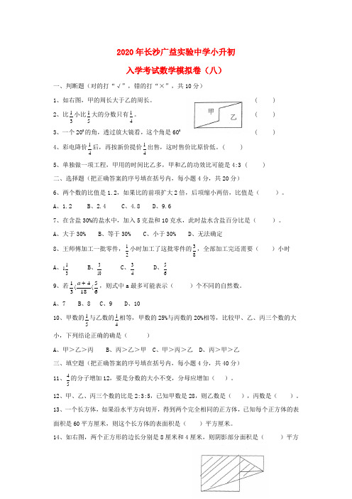 湖南省长沙广益实验中学2020年小升初数学入学考试模拟卷(八)(无答案)