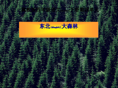 四年级语文下册 第17课《东北大森林》课件1 小学四年级下册语文课件