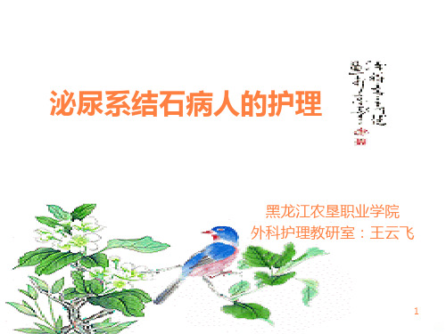 泌尿系结石ppt课件
