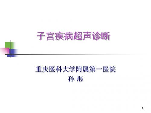 子宫疾病超声诊断-PPT精品文档61页