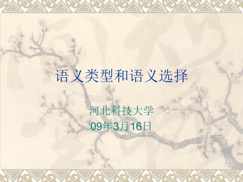 语义类型和语义选择
