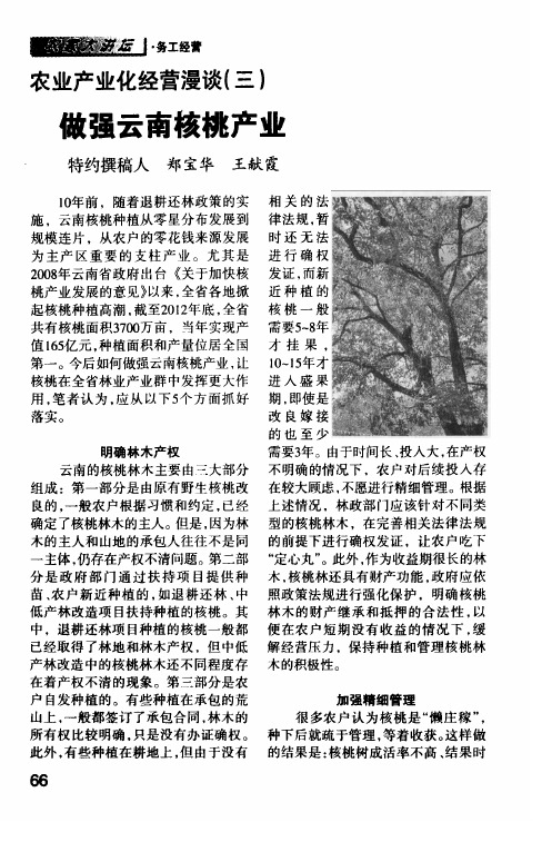 农业产业化经营漫谈(三)  做强云南核桃产业