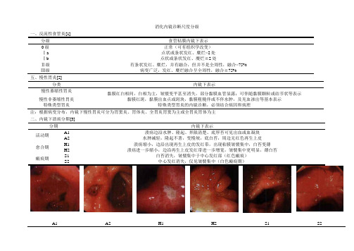 消化内镜诊断标准分级