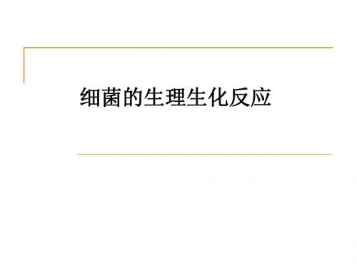 细菌的生理生化反应ppt课件