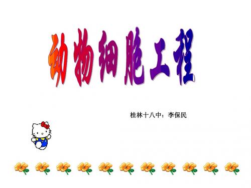 动物细胞工程
