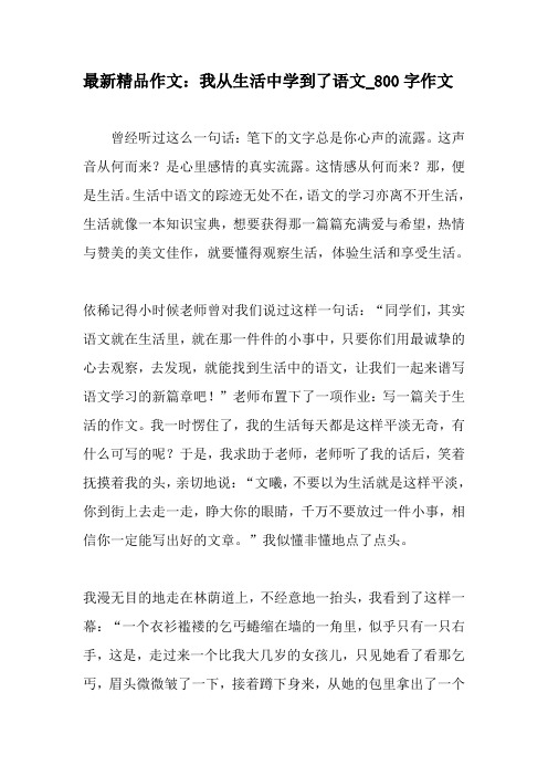 最新精品作文：我从生活中学到了语文_800字作文-精选作文