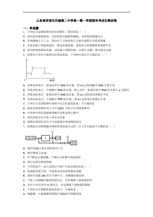 山东省济南市历城第二中学高一第一学期期末考试生物试卷