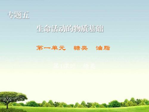 高中化学苏教版选修5练习课件：5.1.1 糖类
