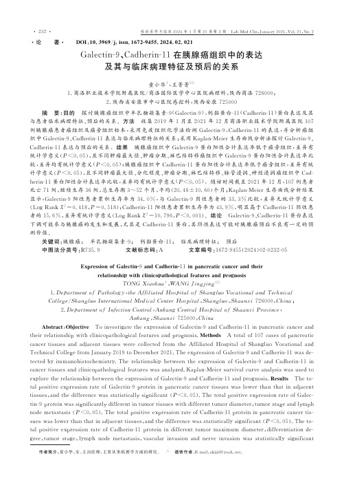 Galectin-9、Cadherin-11在胰腺癌组织中的表达及其与临床病理特征及预后的关系