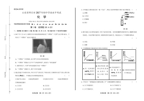 2017年山东省枣庄市中考化学试卷(含详细答案)