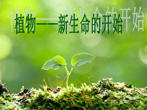 浙教版小学三年级下册科学第一单元第一课植物新生命的开始PPT