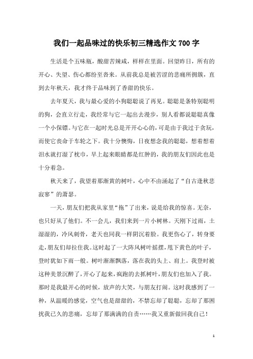 我们一起品味过的快乐初三精选作文700字