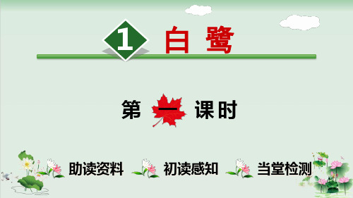 (部编版)小学语文五级上册《白鹭》PPT优质课件