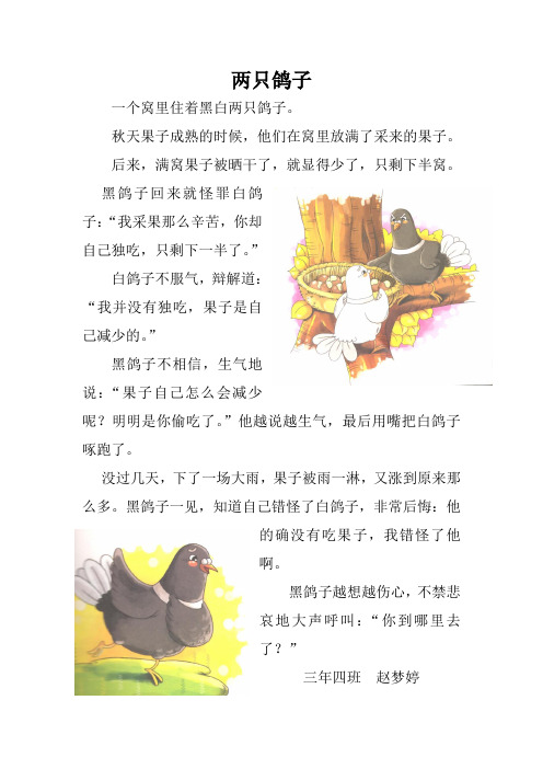 两只鸽子