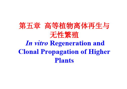 细胞工程课件 第五章  植物离体再生途径-