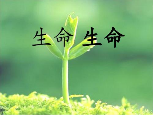 人教版小学语文四年级下册《生命 生命》课件