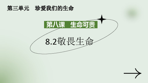 统编版道德与法治七年级上册8.2《敬畏生命》教学课件