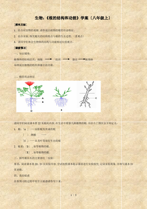 生物：《根及结构和功能》学案(八年级上)
