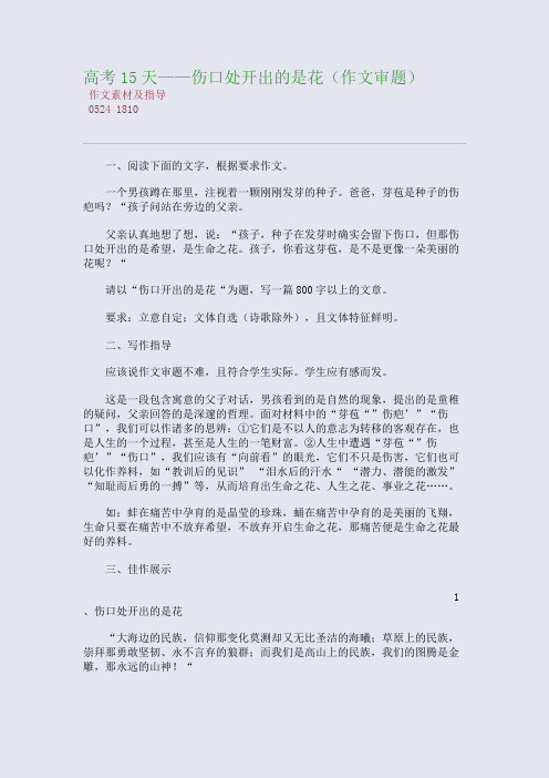 百强重点名校高考备考_高考15天——伤口处开出的是花(作文审题)(完美整理版)
