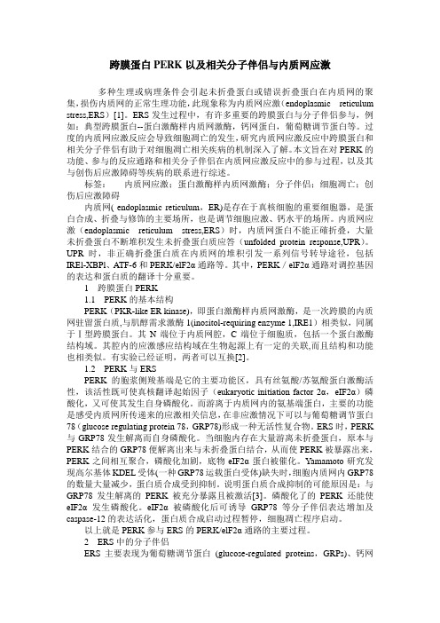 跨膜蛋白PERK以及相关分子伴侣与内质网应激