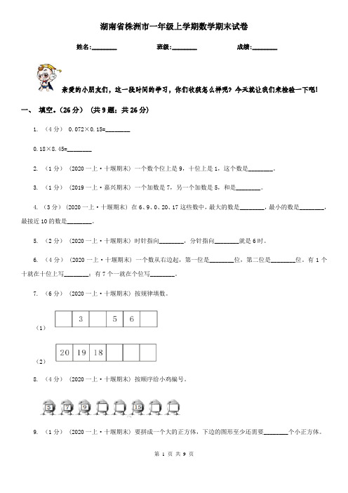 湖南省株洲市一年级上学期数学期末试卷