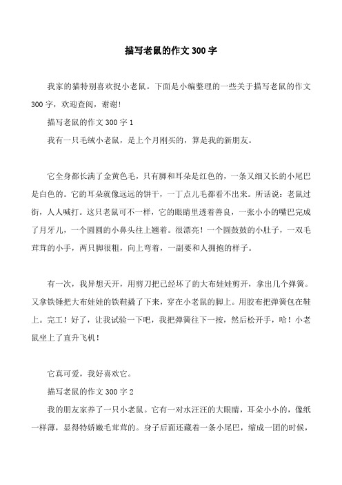 描写老鼠的作文300字
