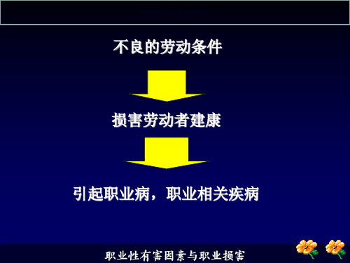 职业性有害因素和职业危害