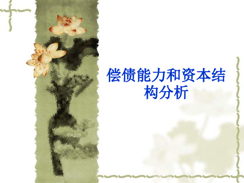 偿债能力和资本结构分析(PPT 43页)