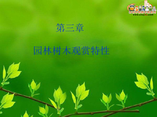 第三章园林树木观赏特性