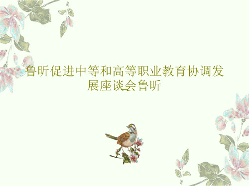 鲁昕促进中等和高等职业教育协调发展座谈会鲁昕共34页文档