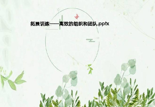 拓展训练——高效的组织和团队