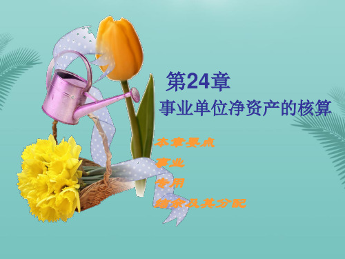 【全版】事业单位净资产的核算推荐PPT