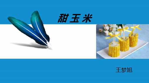 甜玉米