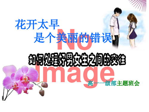 花开太早是个美丽的错误PPT课件